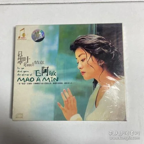 毛阿敏:感悟_2