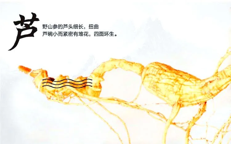 野山参证书查询_1