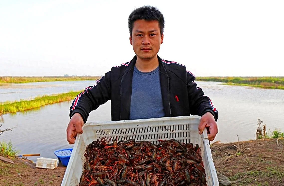 养小龙虾一亩多少利润_2