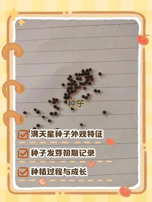 什么是太空种子_1