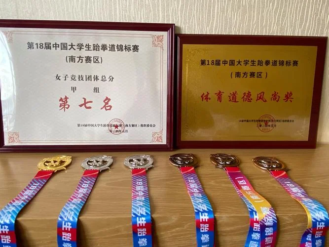 跆拳道自学成绩单模板_1