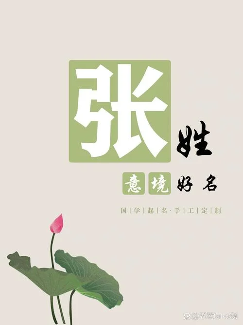 姓张宝宝起名大全男孩_1