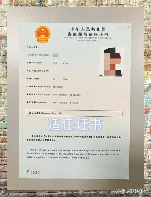 船员证书查询官网_1