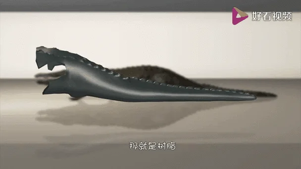 梦见无尾巴鳄鱼会发财_1