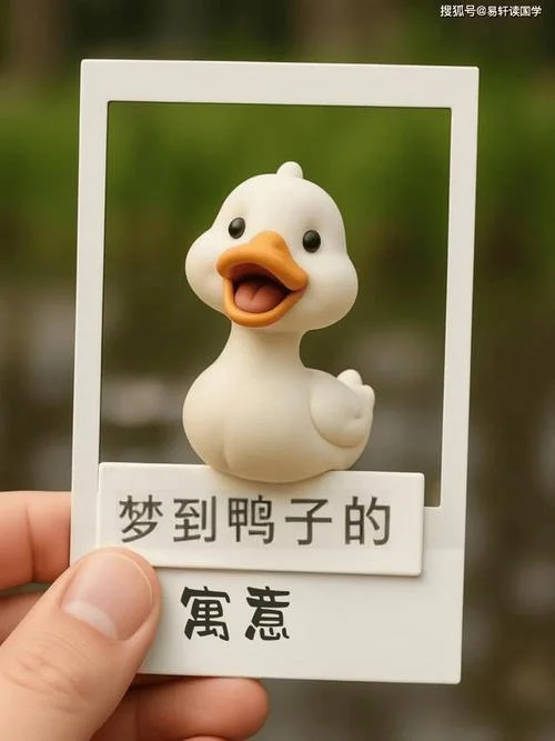 梦见很多小鸭_2