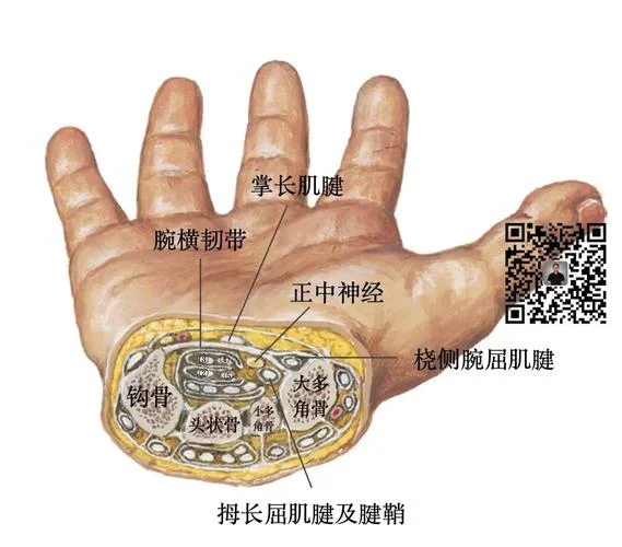 尺管综合征又叫什么_2