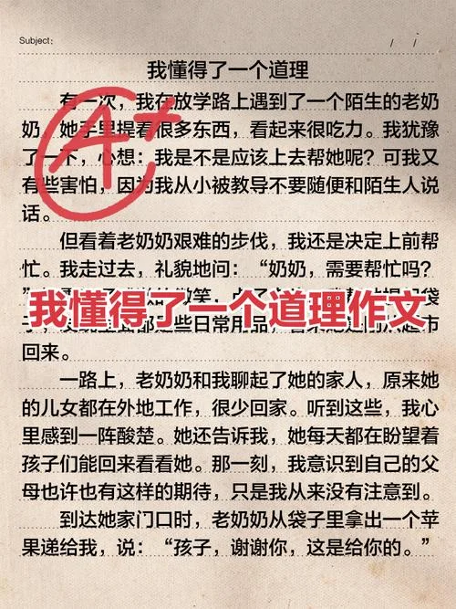 作文一件事领悟的道理_1