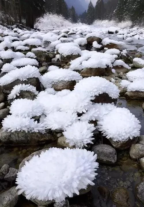 梦见老人去世下雪_1