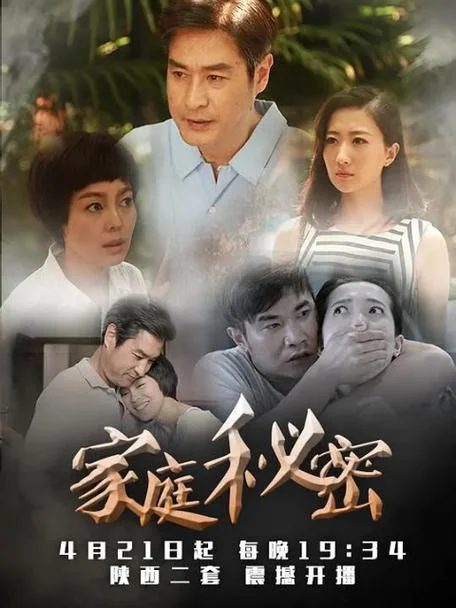 家庭的秘密电视剧简介-家庭秘密剧简介