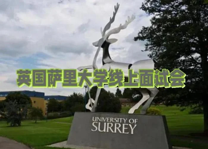 英国萨里大学优势_1