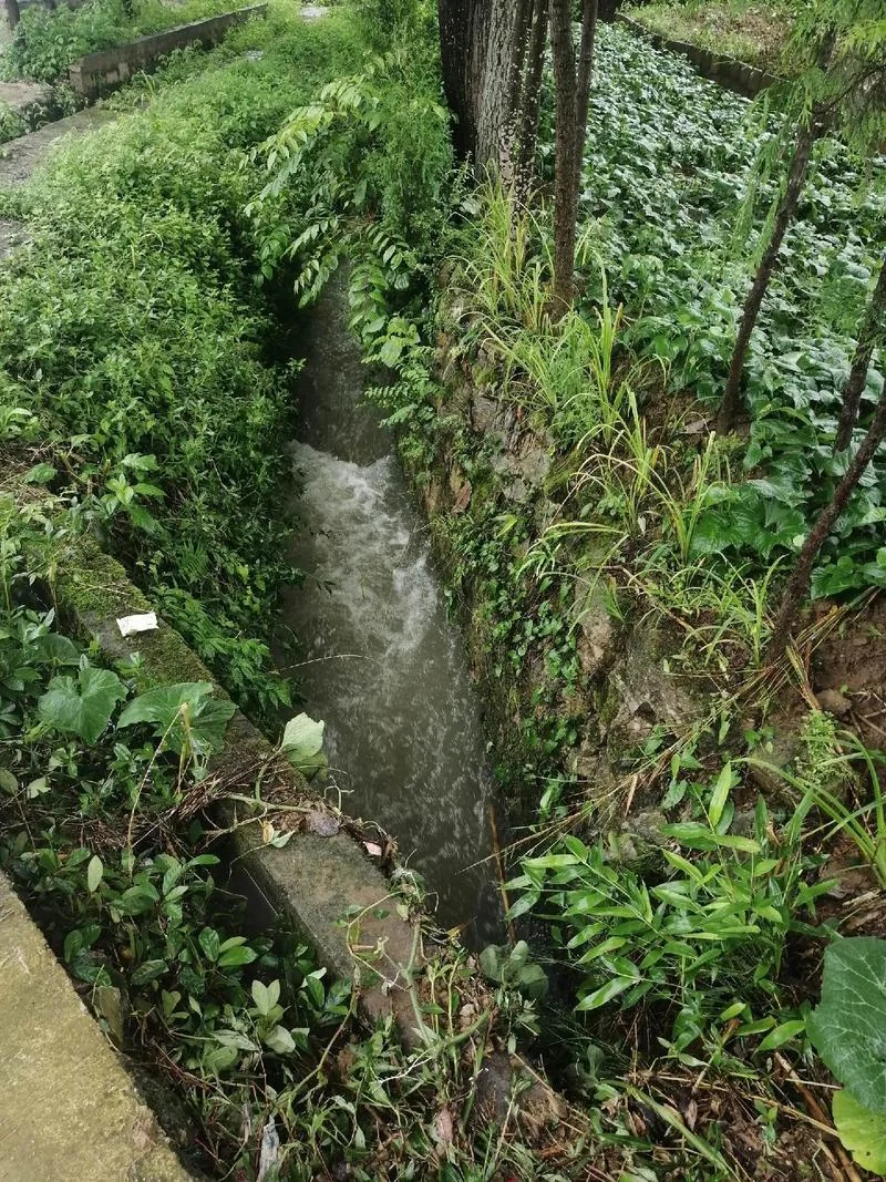 梦见小水沟_2