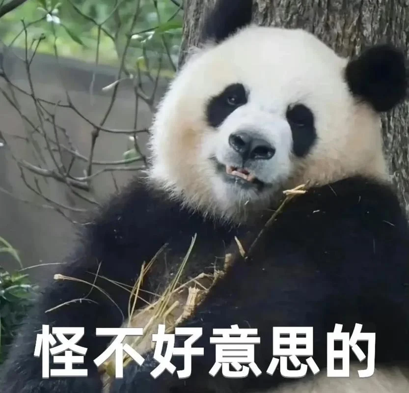 各种熊猫表情包的出处_2