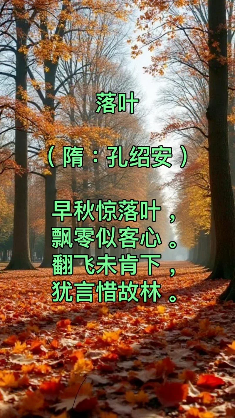 落叶知深秋下一句_2