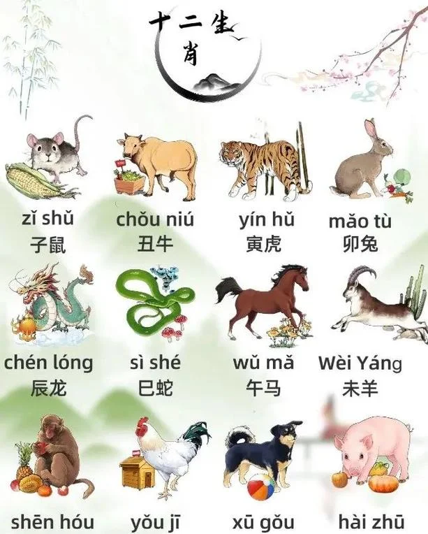 68年属相是什么-1968 年属龙