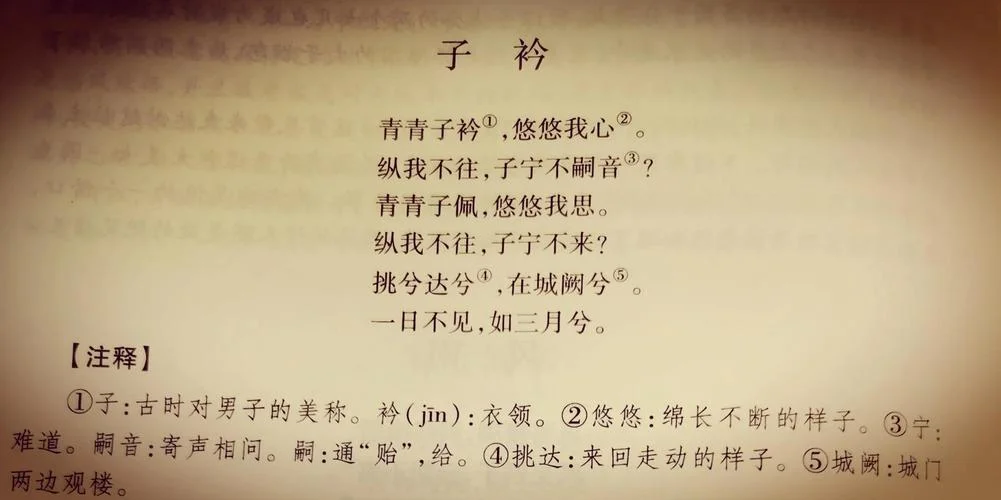 青青子衿,悠悠我心出自_1