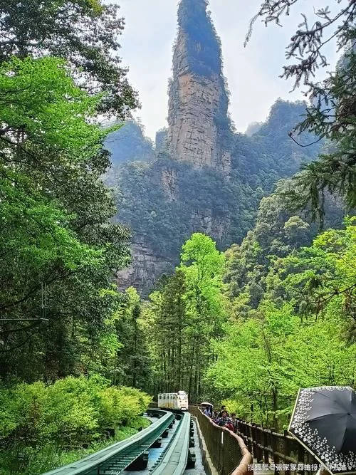 张家界几级旅游景点_1