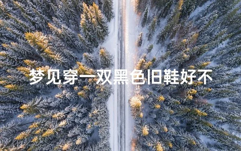 梦到别人穿自己的鞋_1