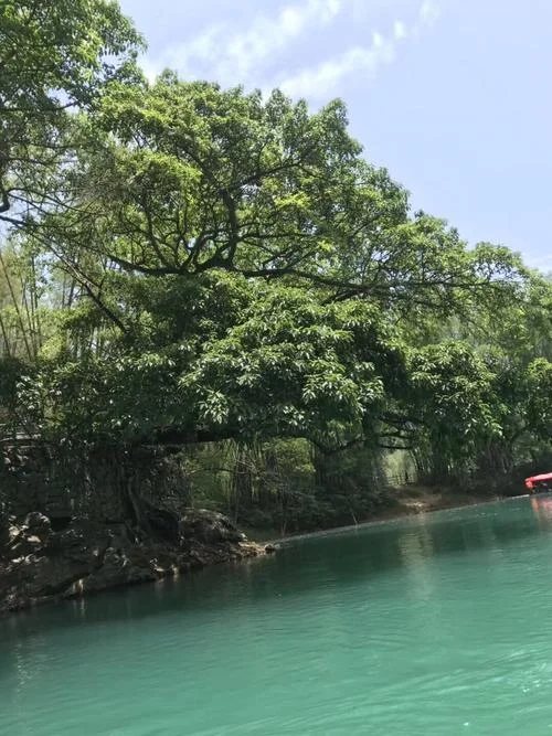 平塘旅游景点大全-平塘景点大全