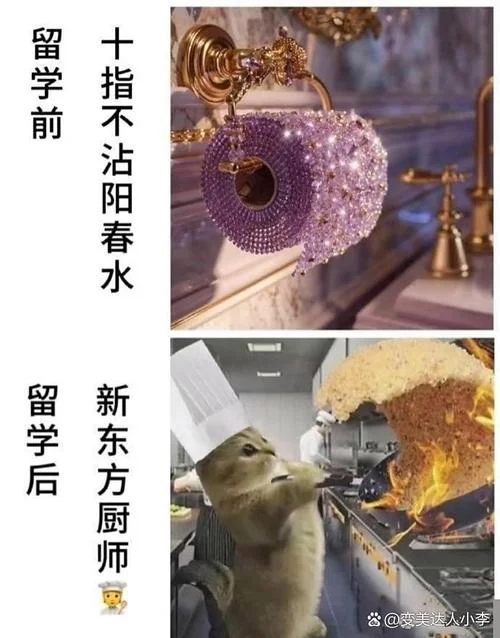 留学申请表情包_2