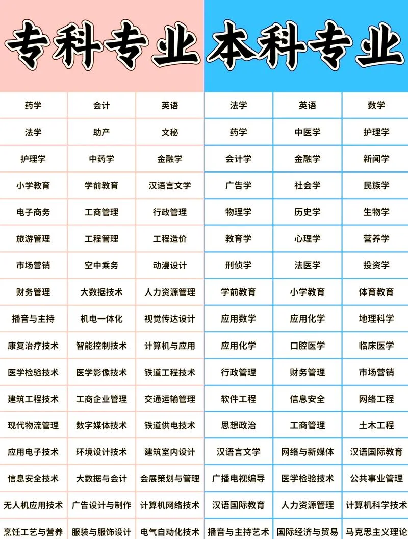 艺术类本科和普通专科_2