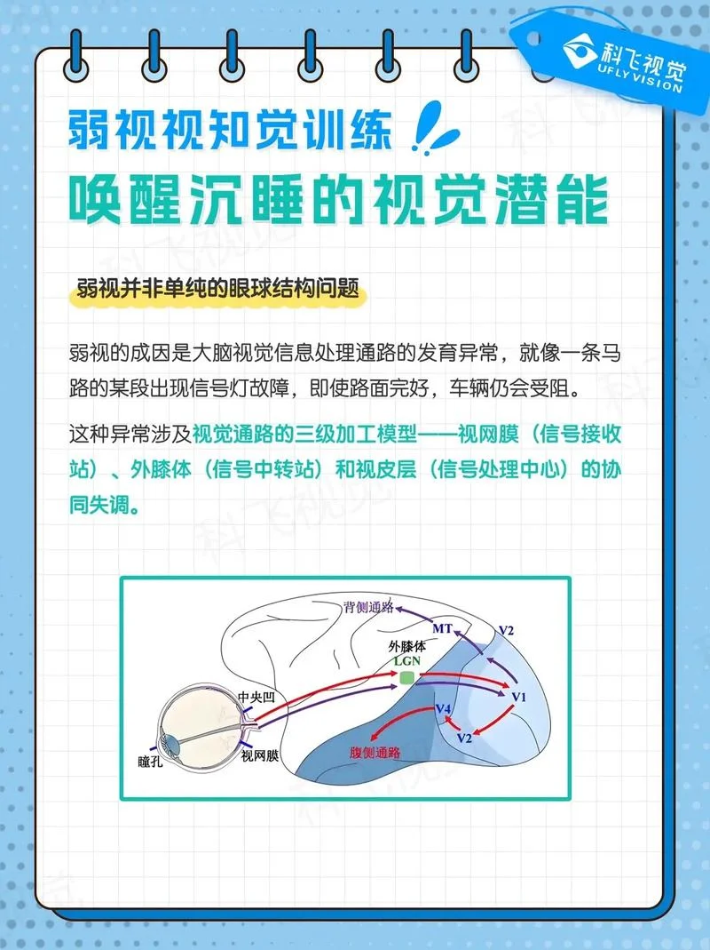 什么是视知觉_1