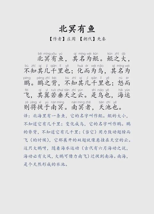 北鱼学堂议论文奇葩说_1