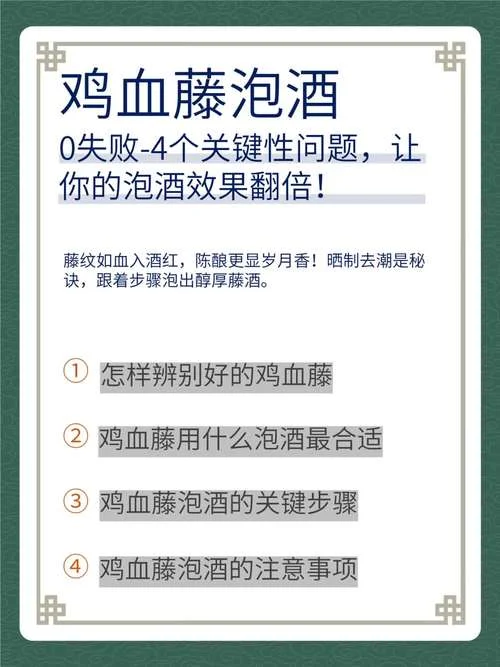 喝鸡血是什么意思_1