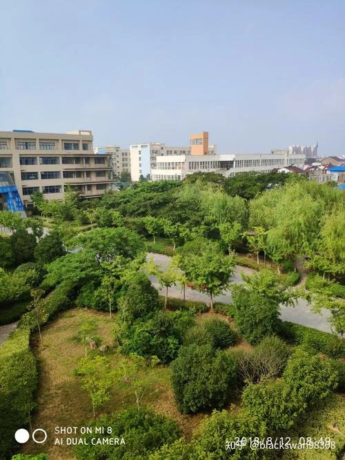 安徽省定远中学杨有志_1