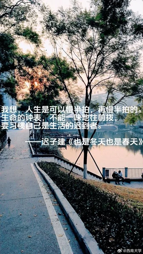 我的摄影感悟_1