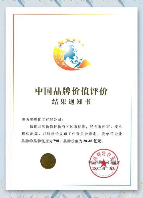 公司价值怎么写_2