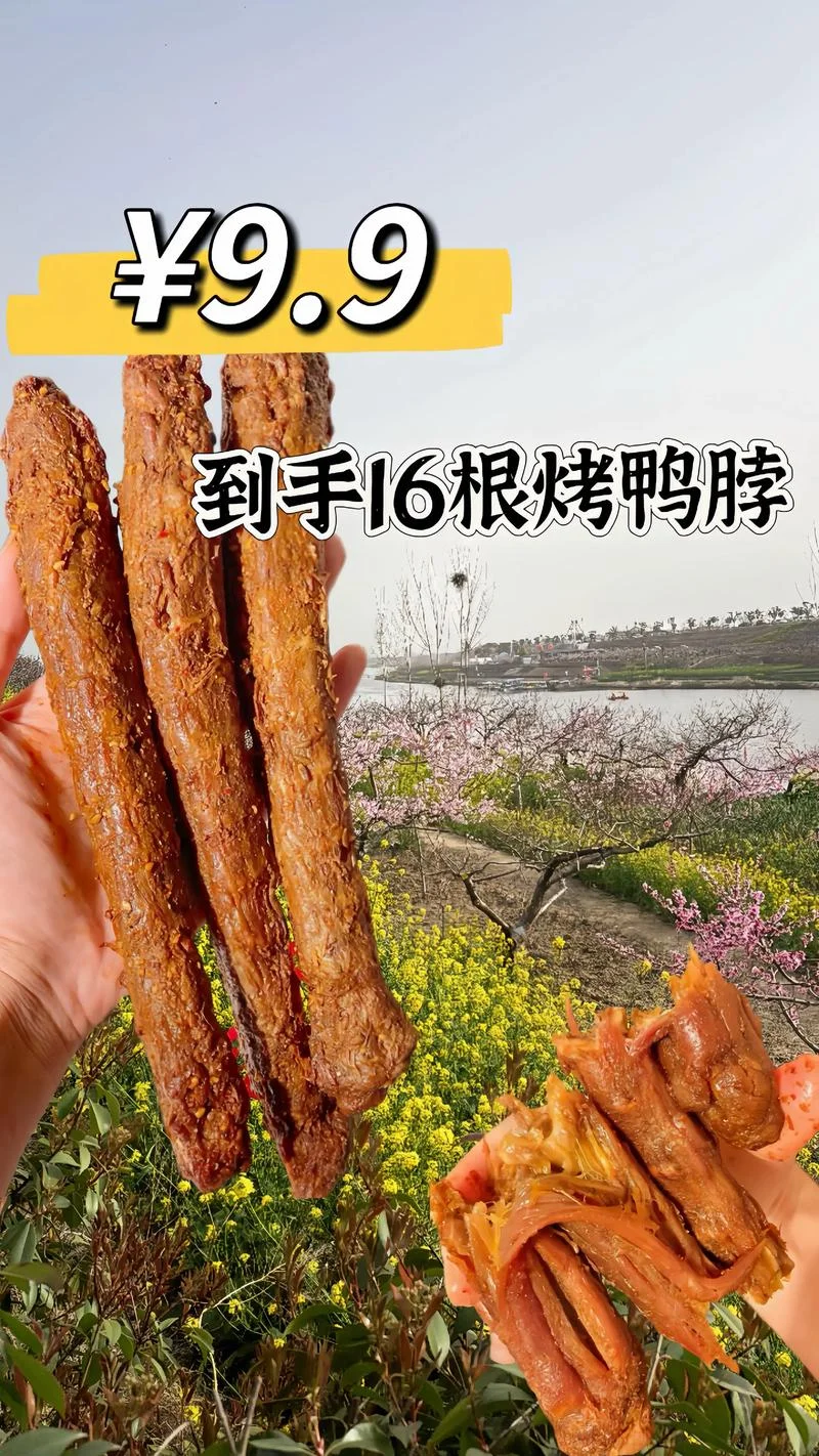 新奥尔良烤鸭脖怎么做-新奥尔良烤鸭脖做法