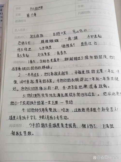 平凡的世界感悟100字_1