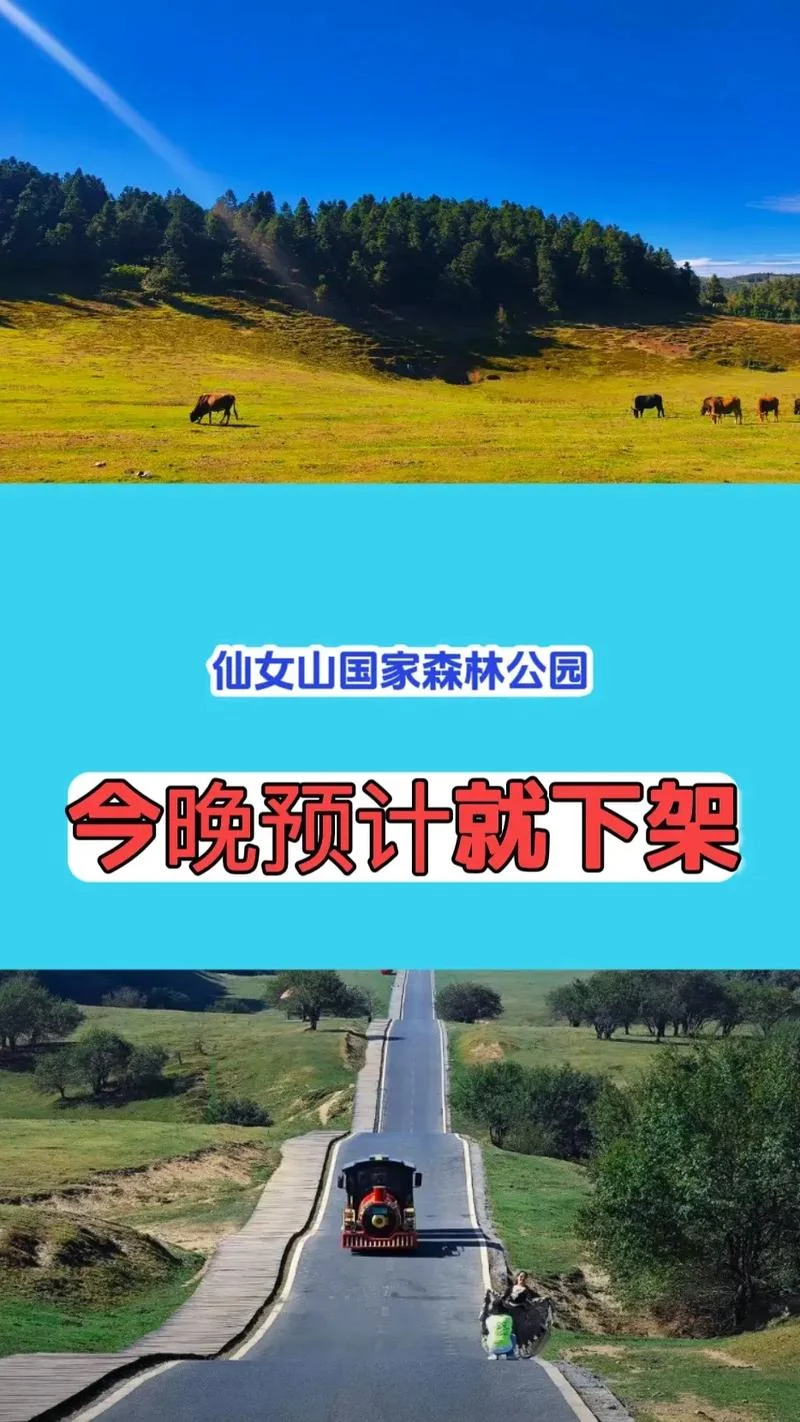 仙女山旅游景点价格表_2