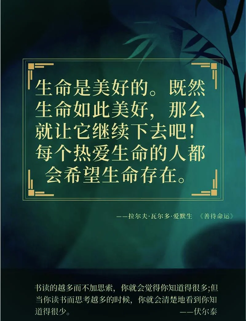 冰心谈生命的感悟-冰心谈生命感悟