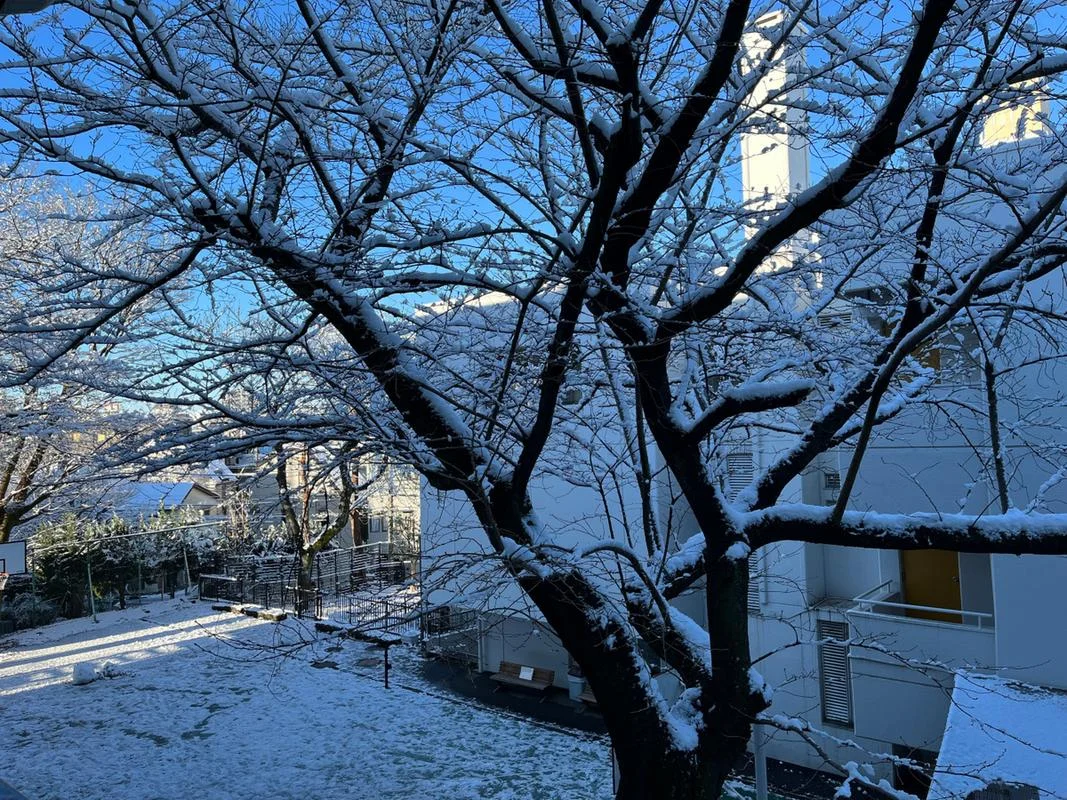 夏天梦见下雪_1