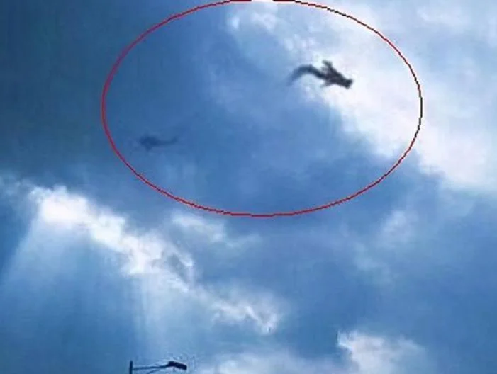 梦见天空真龙现身_1