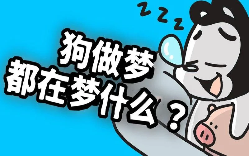 小狗做梦_1