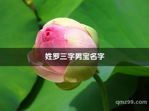 姓罗男孩起名_2
