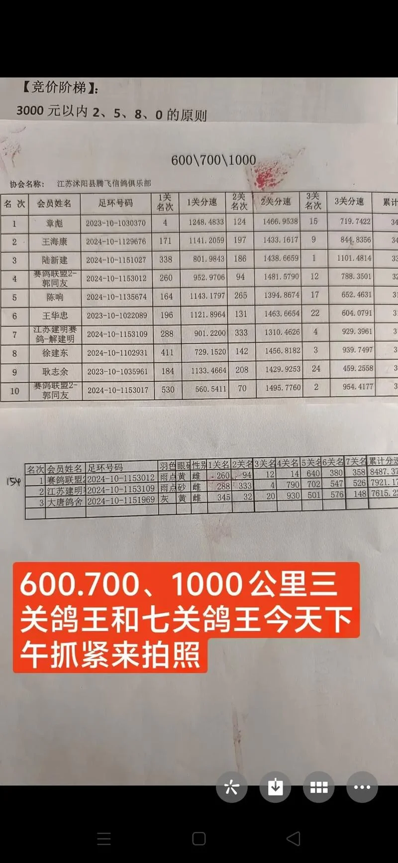 百鸽园联盟杯成绩_1