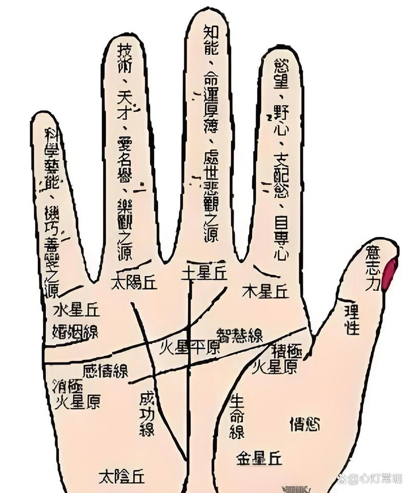 无名指比食指长手相学上怎么解释_1