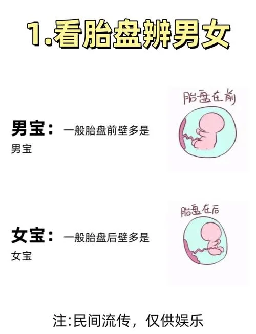 怀孕在几月份怀多数是男孩_1