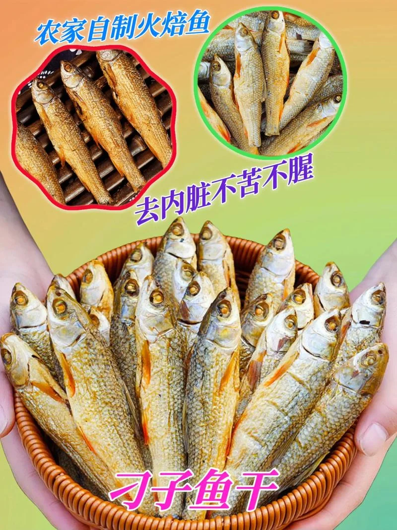 小鱼干梗出自哪里_1