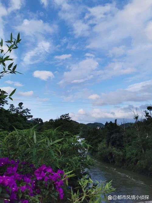 安顺一日游旅游_1