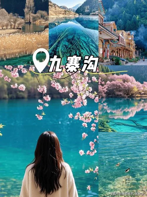 5日游跟团多少钱_1