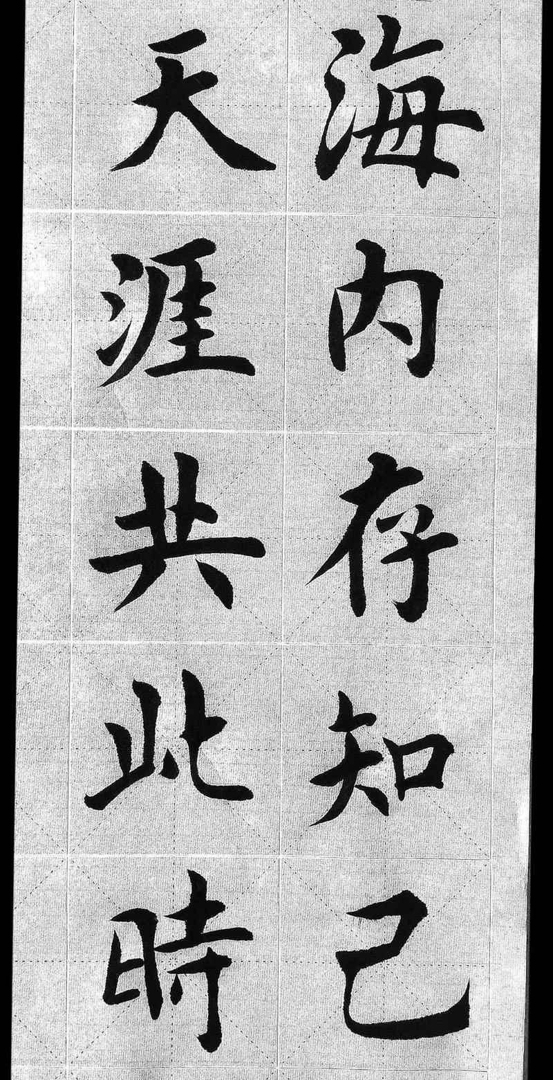 海内存知己作者是谁_1