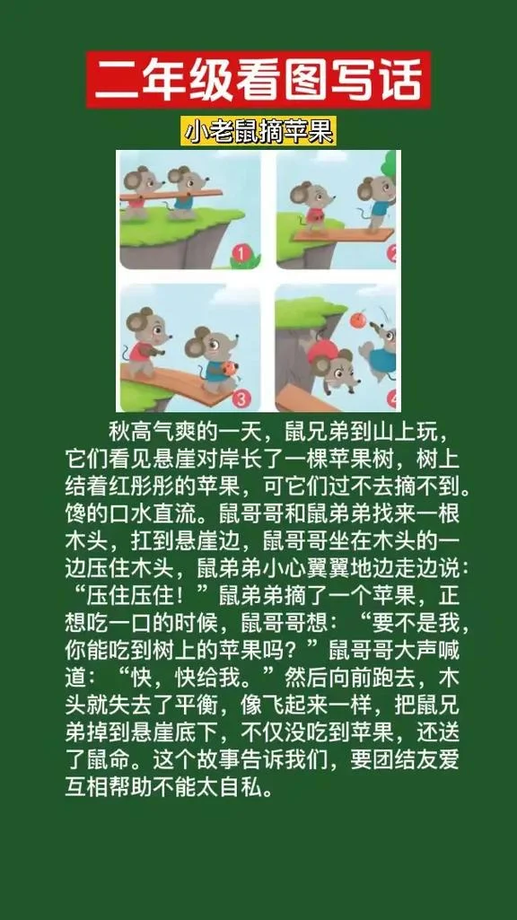 梦见两只小老鼠-梦见两只小老鼠
