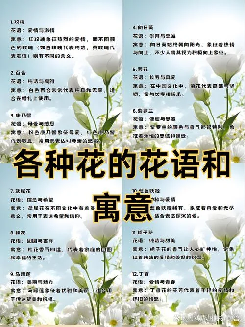 鲜花的介绍-鲜花介绍