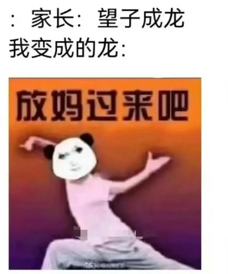 龙女士表情包出处_1