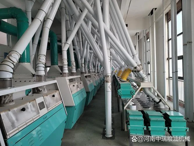 大米深加工的好项目_1