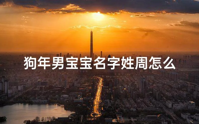 狗年出生男宝起名字_2